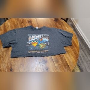 Delta Gray Crop Top with Colorful Graphic